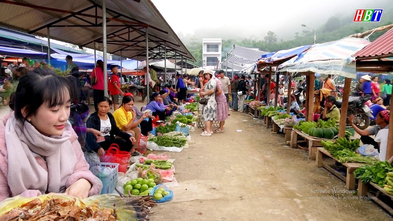 KHÔNG NGỜ Ở LÀO CAI CÓ MỘT PHIÊN CHỢ NHƯ THẾ NÀY – VĨNH YÊN, BẢO YÊN ĐẦY THẢO DƯỢC VÀ SẢN VẬT RỪNG!