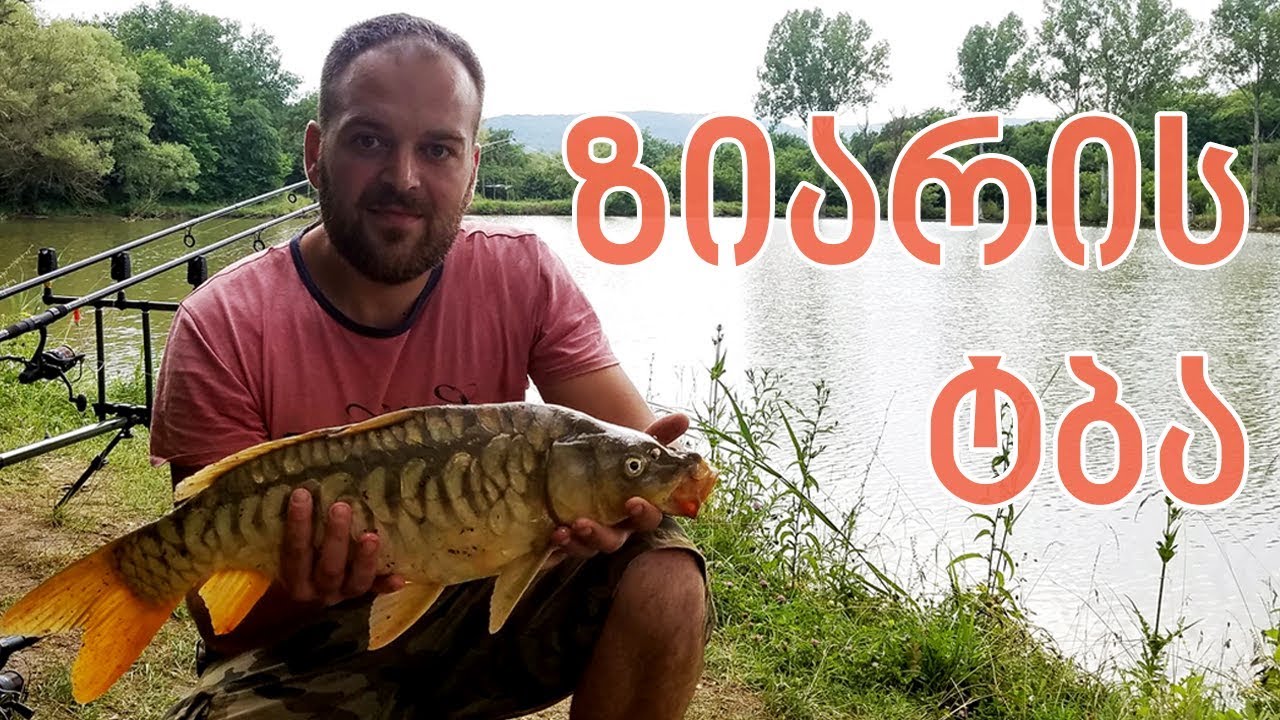 თევზაობა ზიარის ტბაზე