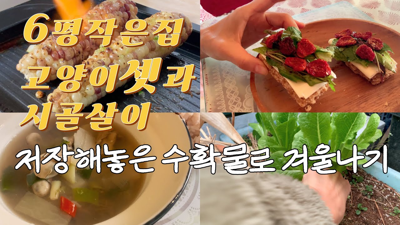겨울에도 마트에서 장을 보지 않는 이유!/12월 전기세?/ 한겨울 작은 온실 안?