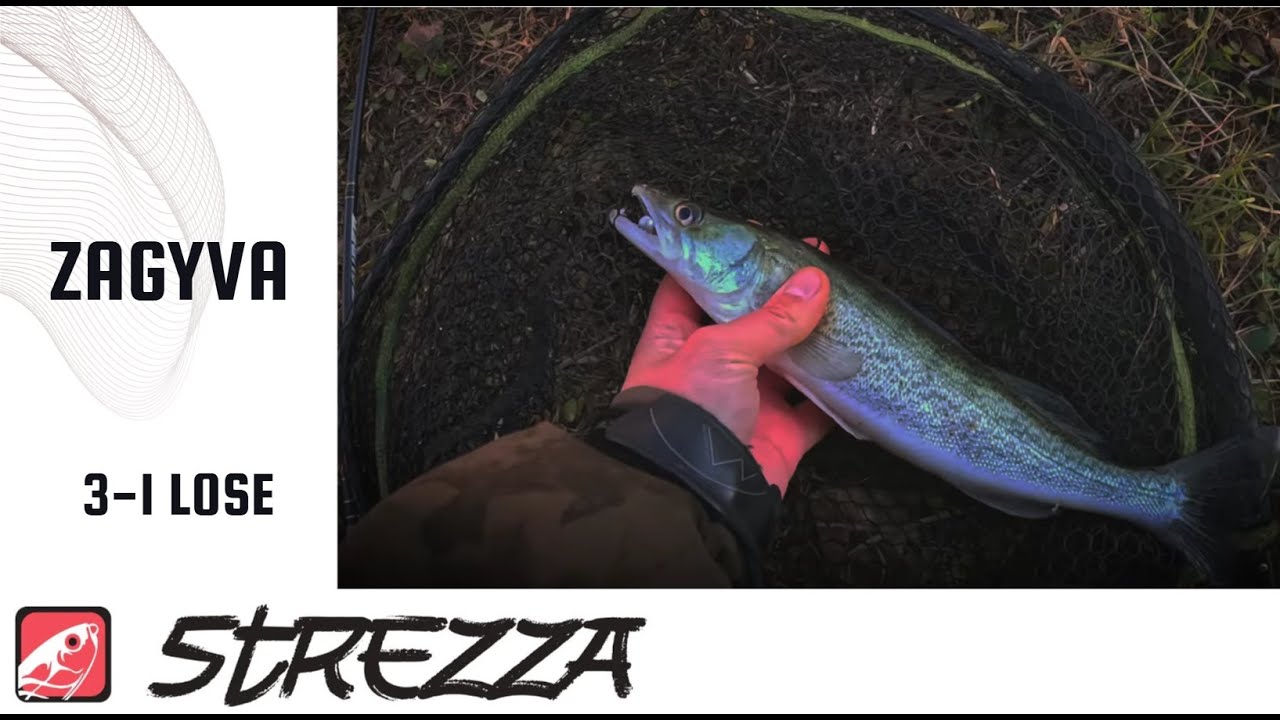 3-1.... most a Zagyva nyert - ultralight pergetés a téli szezonban a belvárosban | Strezza Fishing
