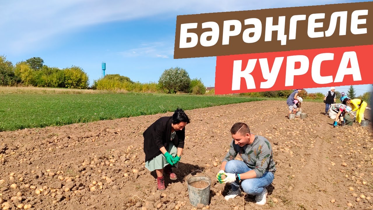 Тәгәрмәч №8 Югары Курса (Верхняя Корса)