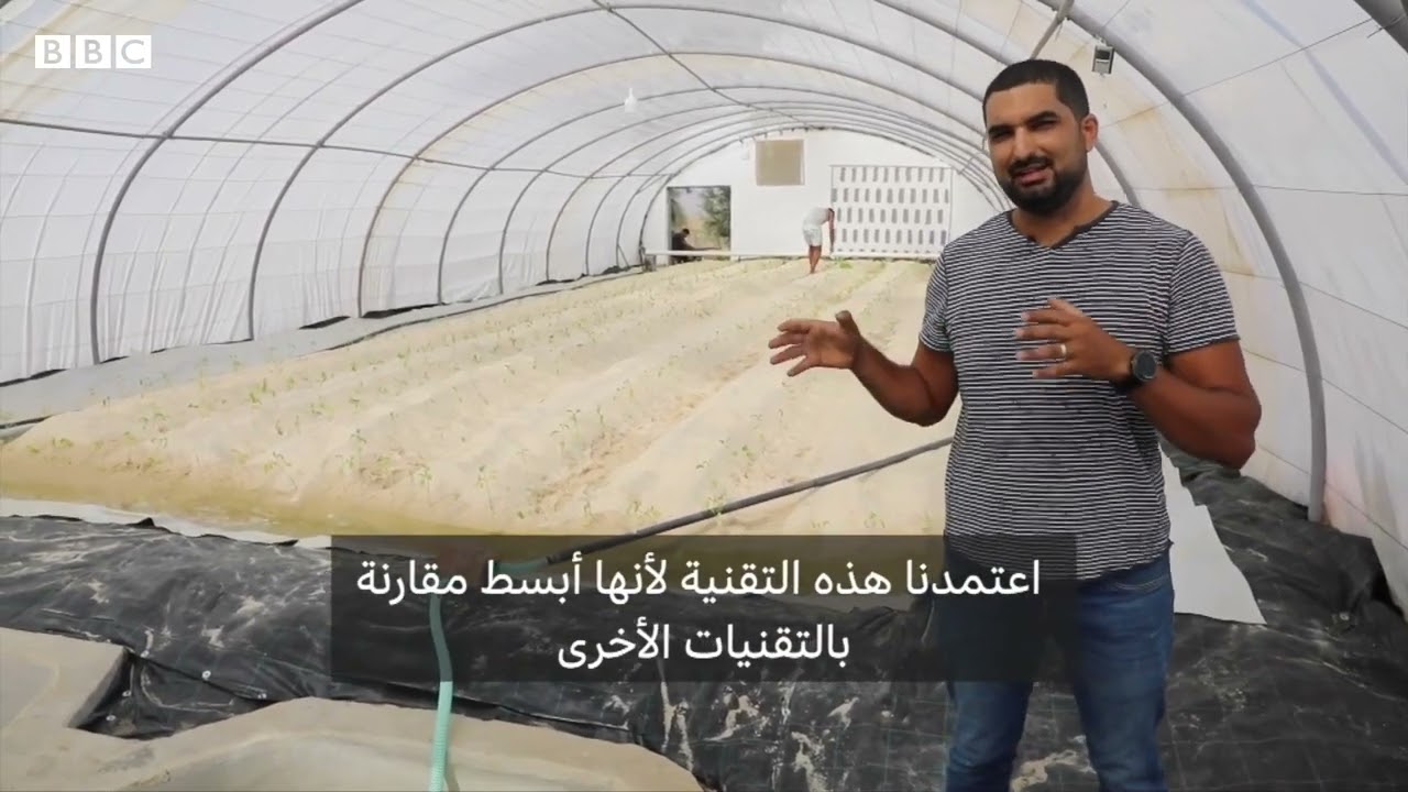 L'Aquaponie commerciale par Tunisie Aquaponie 👩‍🌾🐟🌶️🍅🍓🥦🍆🥒🥬🥇par BBC News عربي