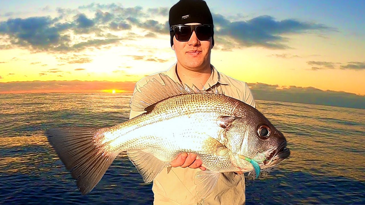 It's RARE to catch them this BIG in CLOSE | BIG Pearl Perch & Reefies!