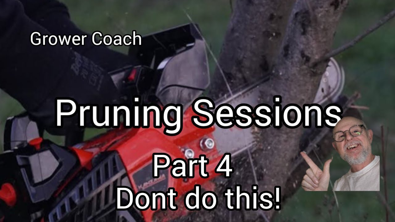 Grower Coach Pruning Sessions part 4 What you dont know about pruning.