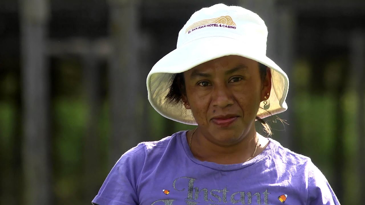 AGROFORESTERIA FAO