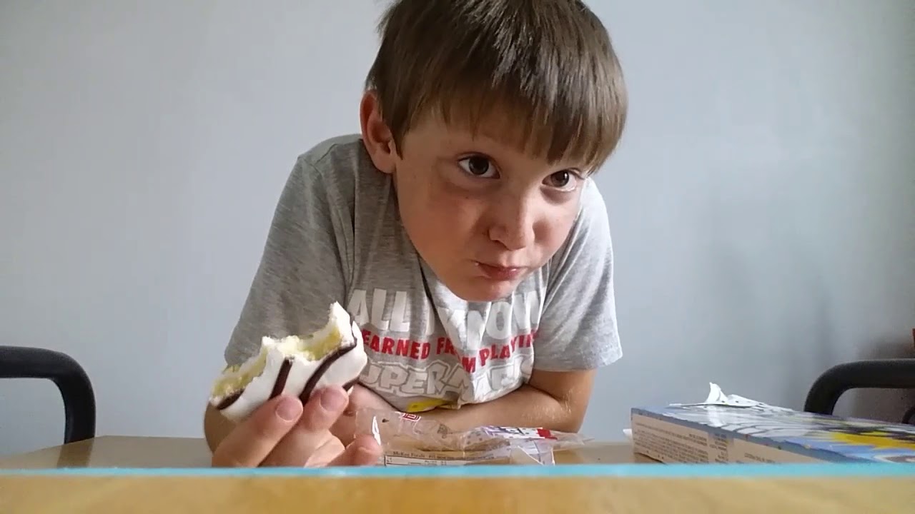 Zebra Cakes and MORE Silliness!