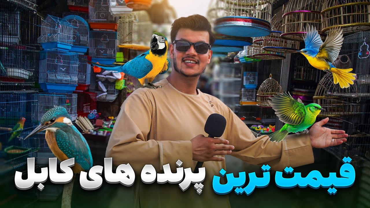 گزارش ویژه شعیب امیری از بزرگ ترین بازار فروش پرنده های نایاب در کابل