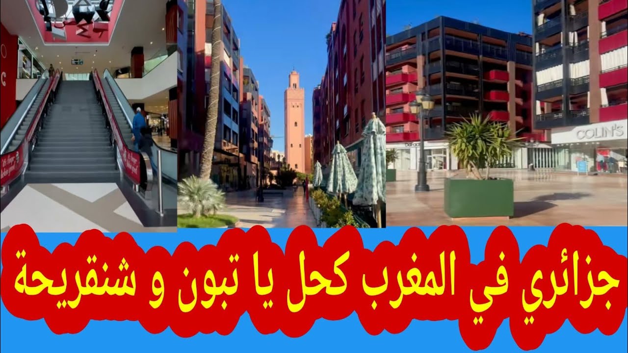 جزائري في المغرب كحل يا تبون و شنقريحة