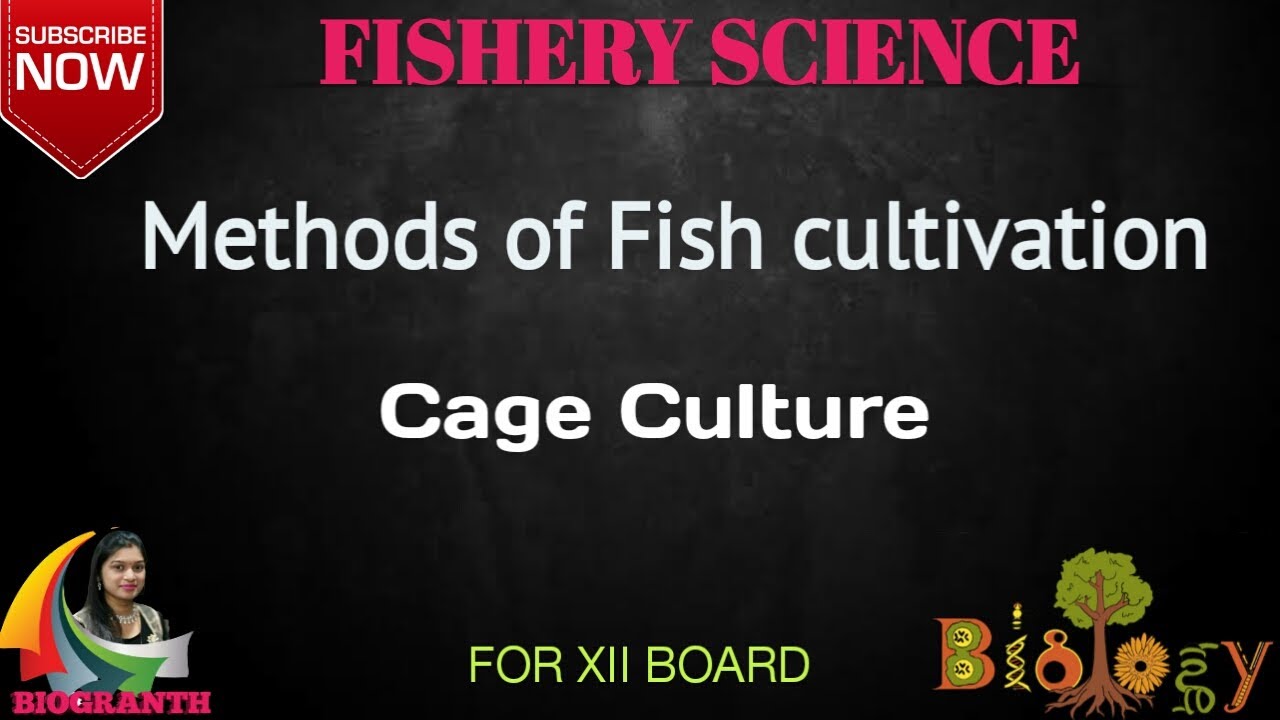 Cage Culture | Methods of Fish Cultivation | 12th Fishery Science.