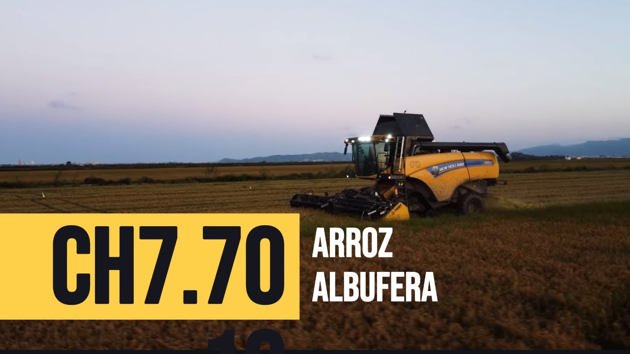 😱 ¡La máquina definitiva para el arroz! Así rinde la New Holland CH7.70 en La Albufera 🚀