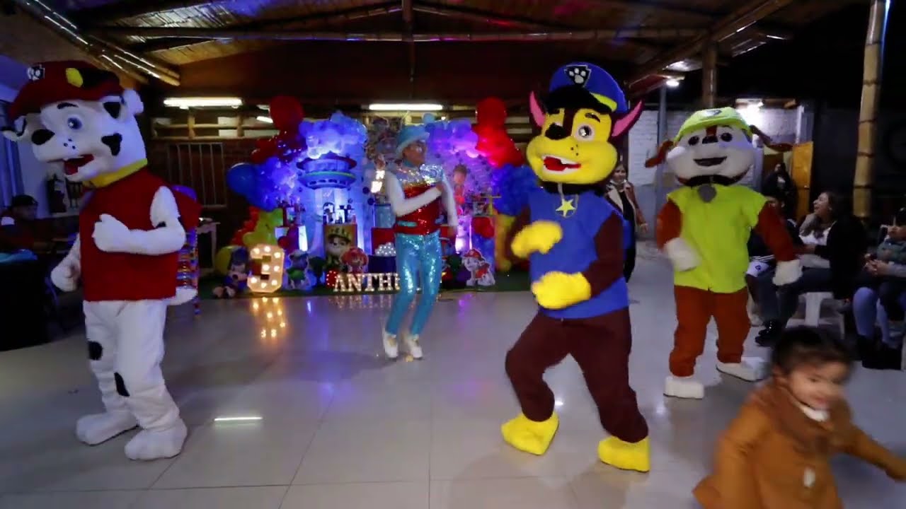 show de Paw Patrol - BAILE DE: PAW PATROL