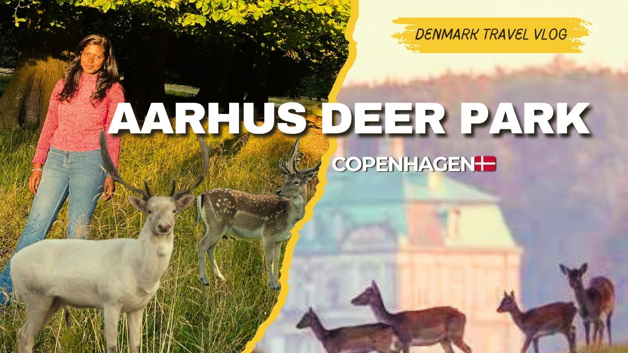 Exploring Aarhus Deer Park 🦌✨ A Magical Nature Experience #aarhus #vlog 