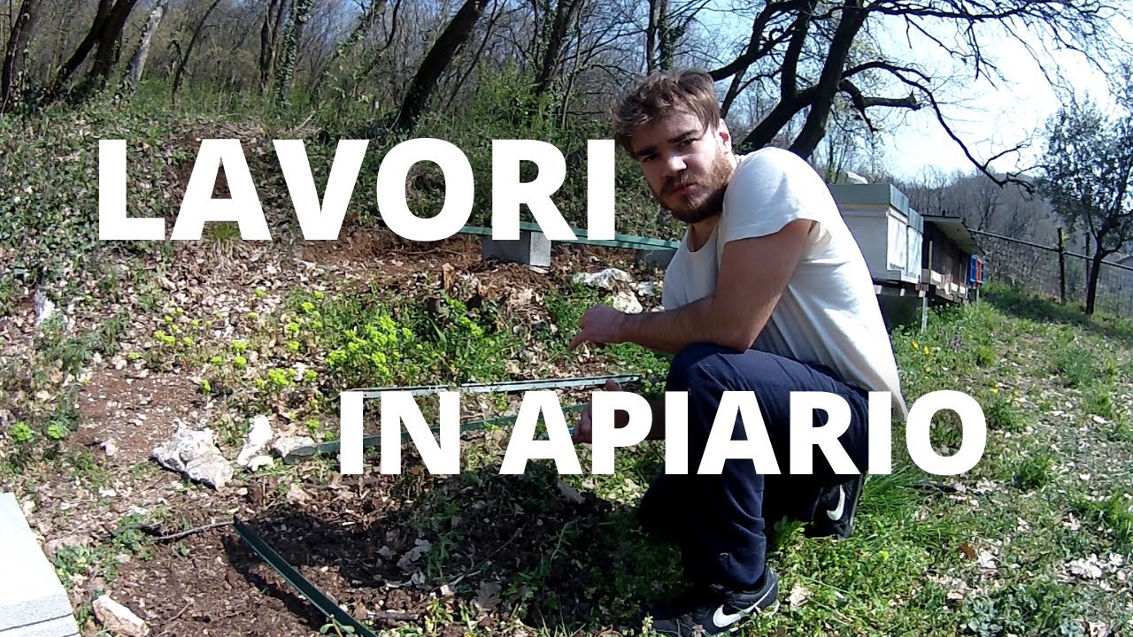 LAVORI IN APIARIO || mi organizzo e sistemo due cose