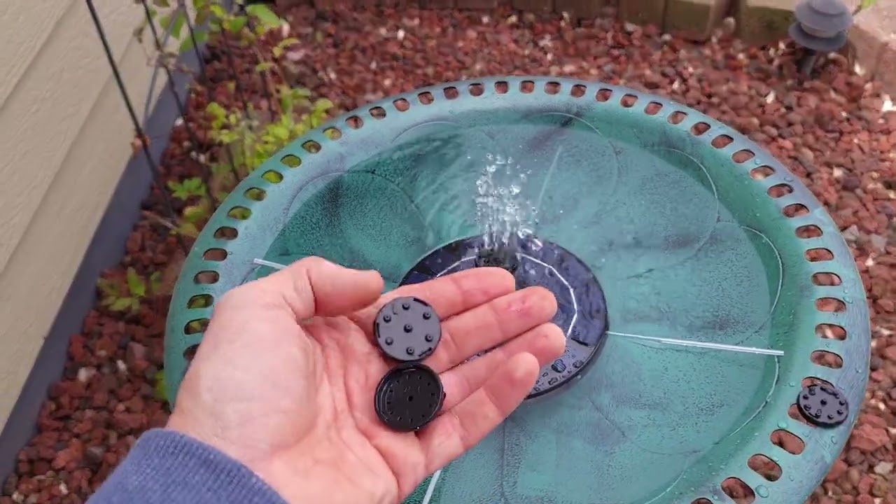 Bird bath Review! Beautiful color and style!!!