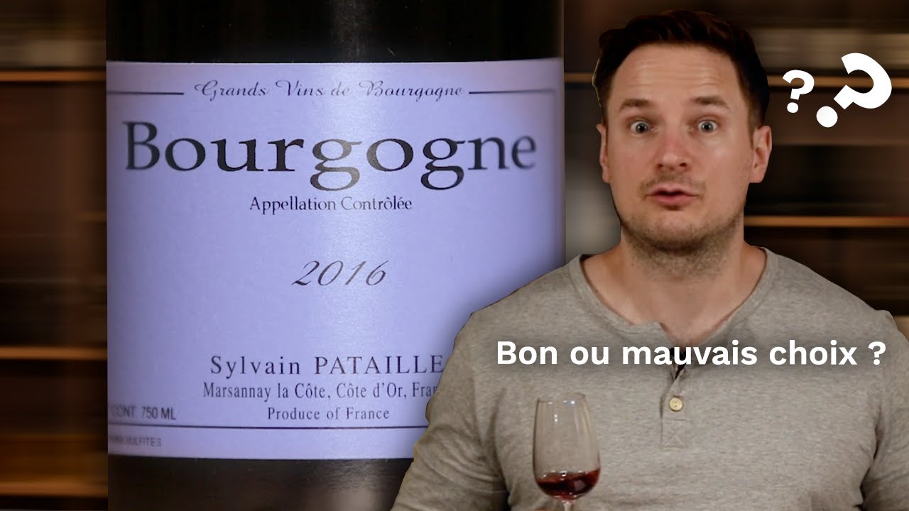 Dégustation et analyse Domaine Sylvain Pataille - Bourgogne rouge 2016 par un oenologue