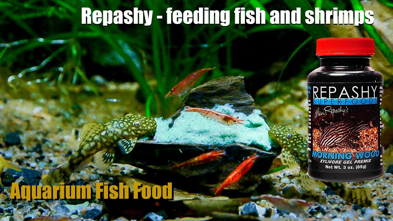 Repashy - great food for your grazers
