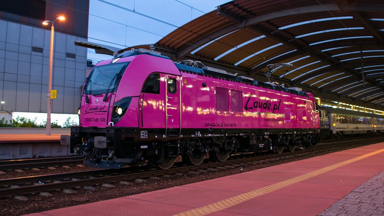 Różowy Dragon 2 E6ACTadb-036 Laude