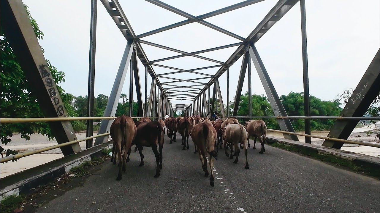 Melintas jalan pedesaan Lamlo, puloe drin dan gumpung aceh pidie , kota bakti dan mutiara timur
