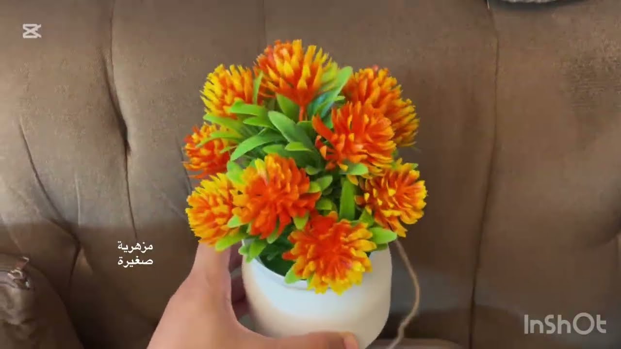مشتريات رمضان من أبو خمسة 🌙✨ | ASMR تفريغ ونقر مريح