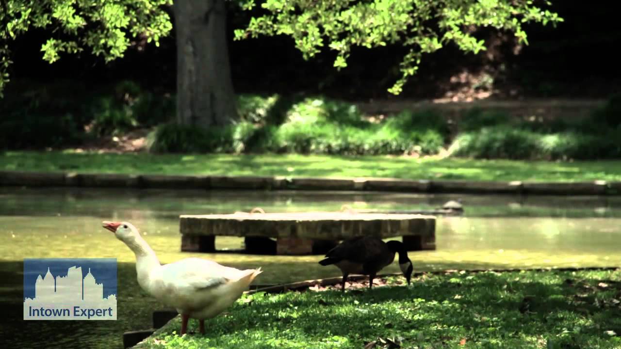 Inman Park, an Atlanta Intown Neighborhood