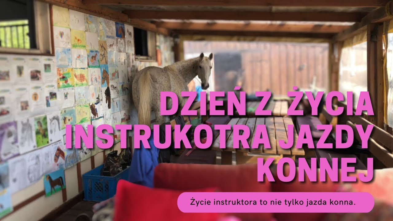 Dzień z życia instruktora jazdy konnej #vlog1 *konie uciekły*