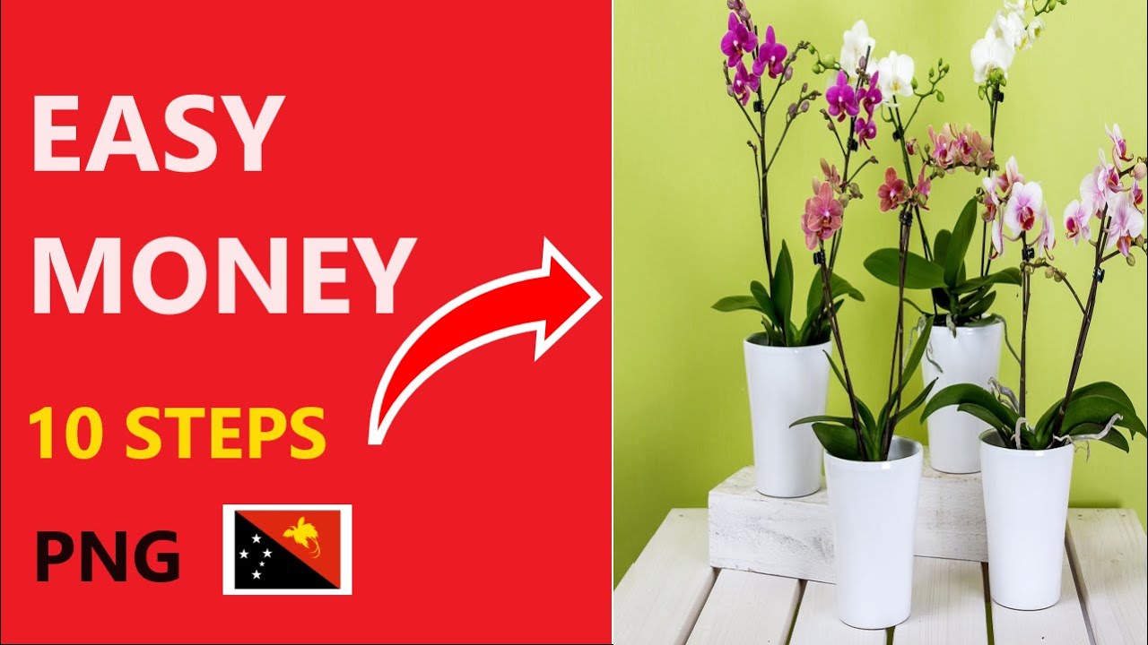How to make money from Selling Plants and Flowers