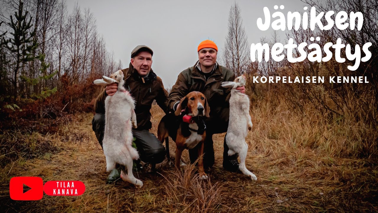 J&Auml;NIKSEN METS&Auml;STYS