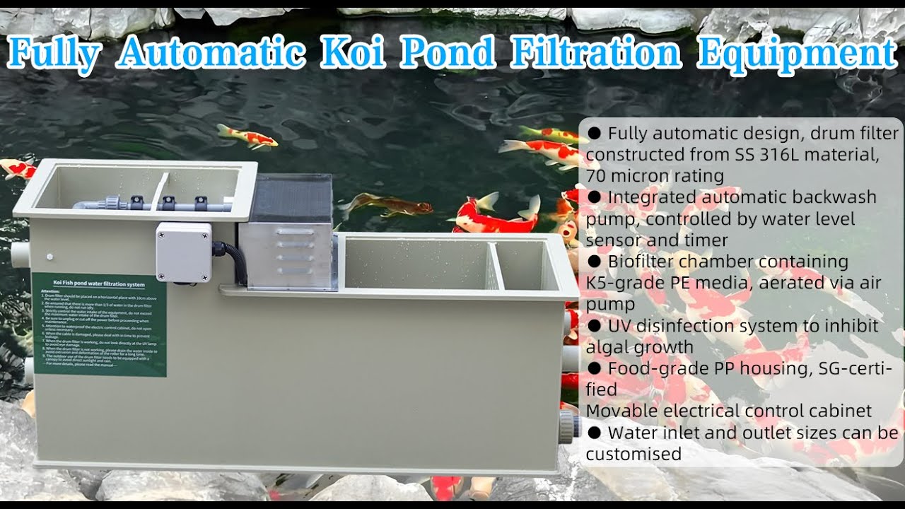 Qlozone combi drum filter for koi pond 5m3/h 1320 gallons.#koi #koifishpond #koifish #fishpond