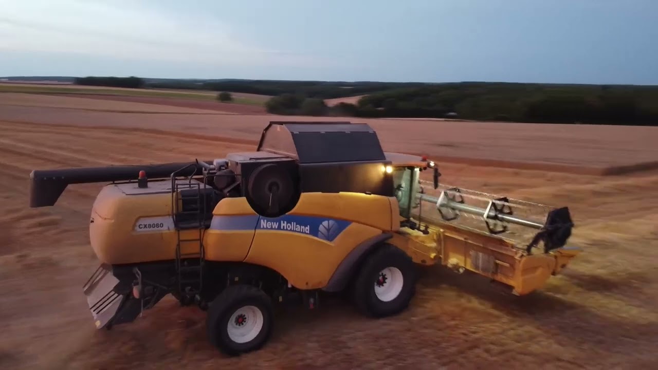 Moisson de blé 2023
