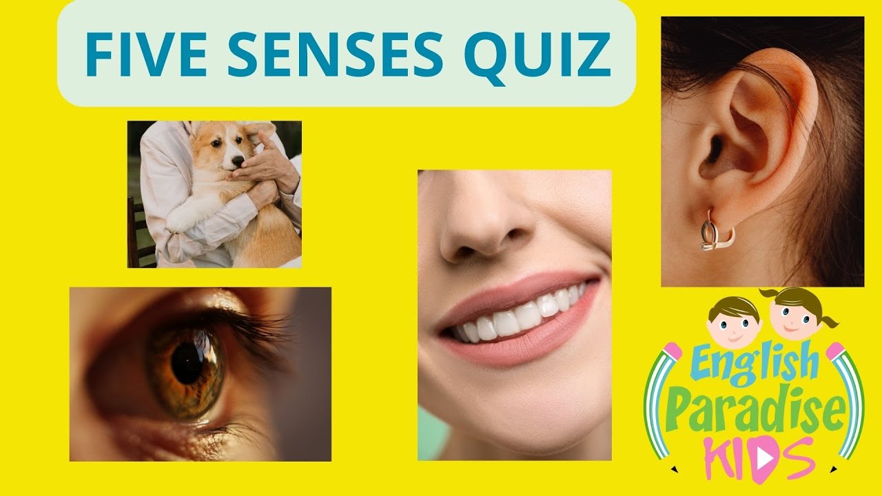 Fun 5 Senses Quiz for Kids | Test Your Sensory Knowledge!