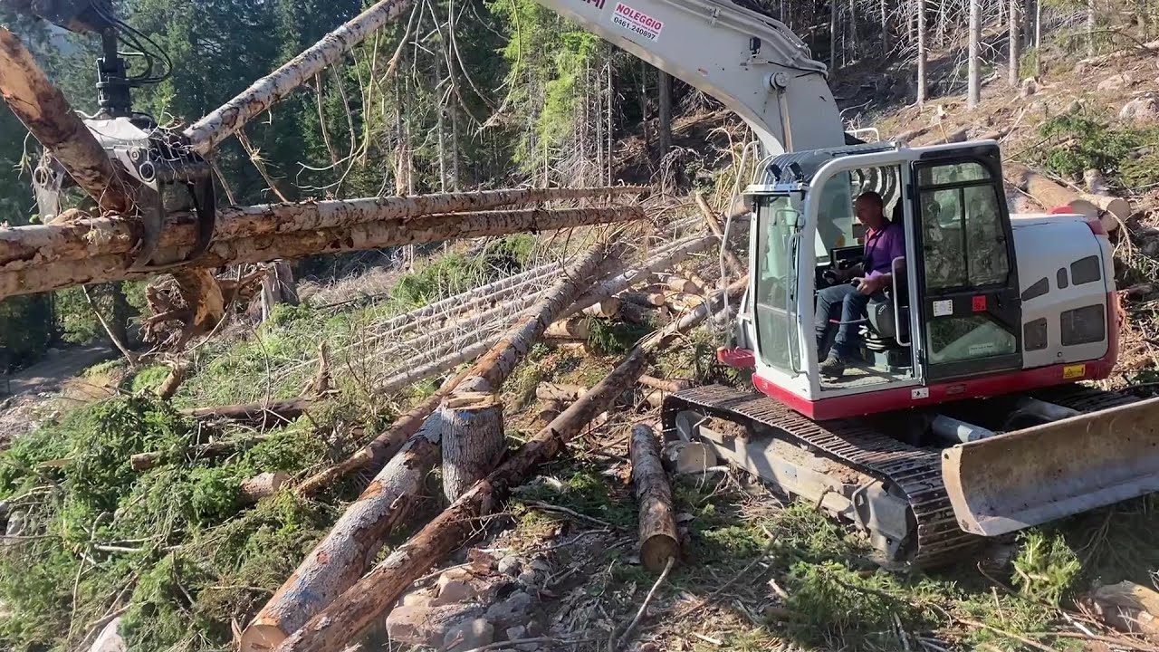 Windwurfaufräumen mit TB 2150  * Shovel Logging * Excavator *