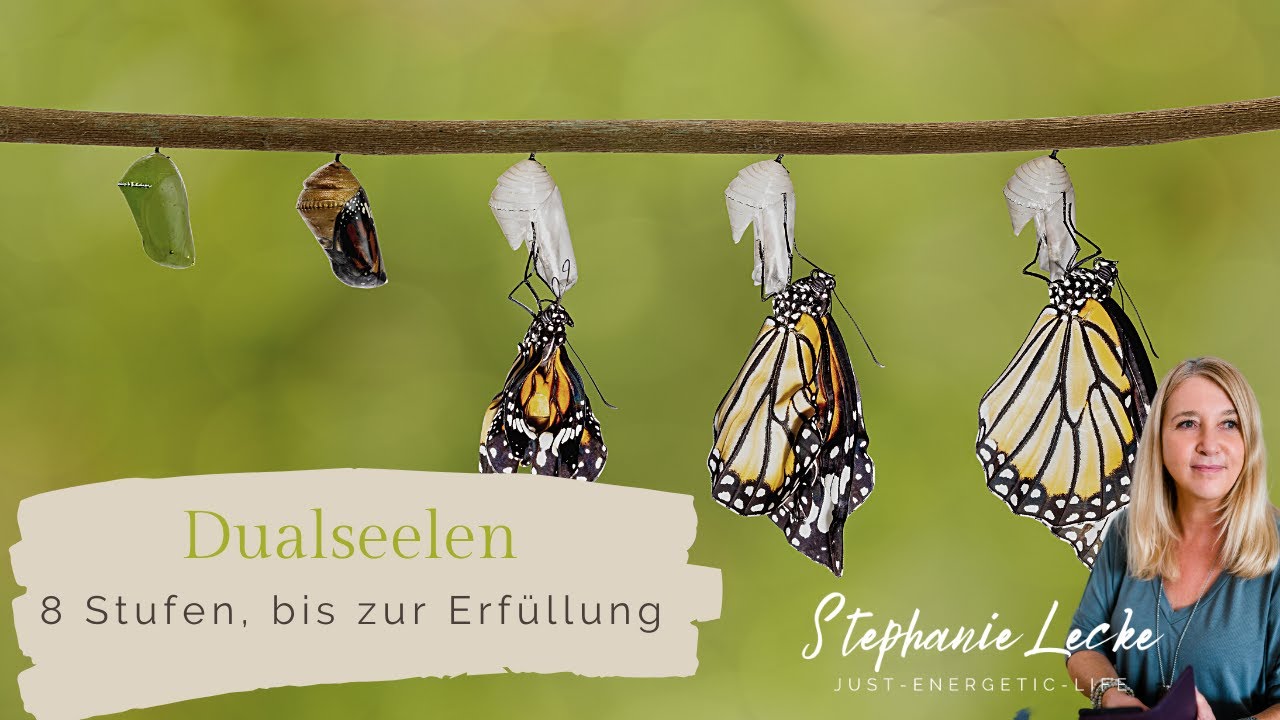 Dualseelen - 8 Stufen, bis zur Erfüllung