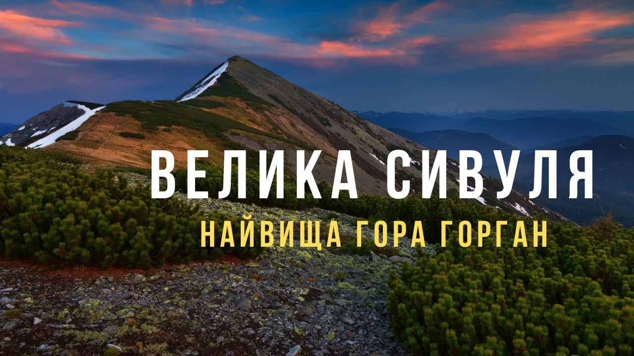 Велика Сивуля