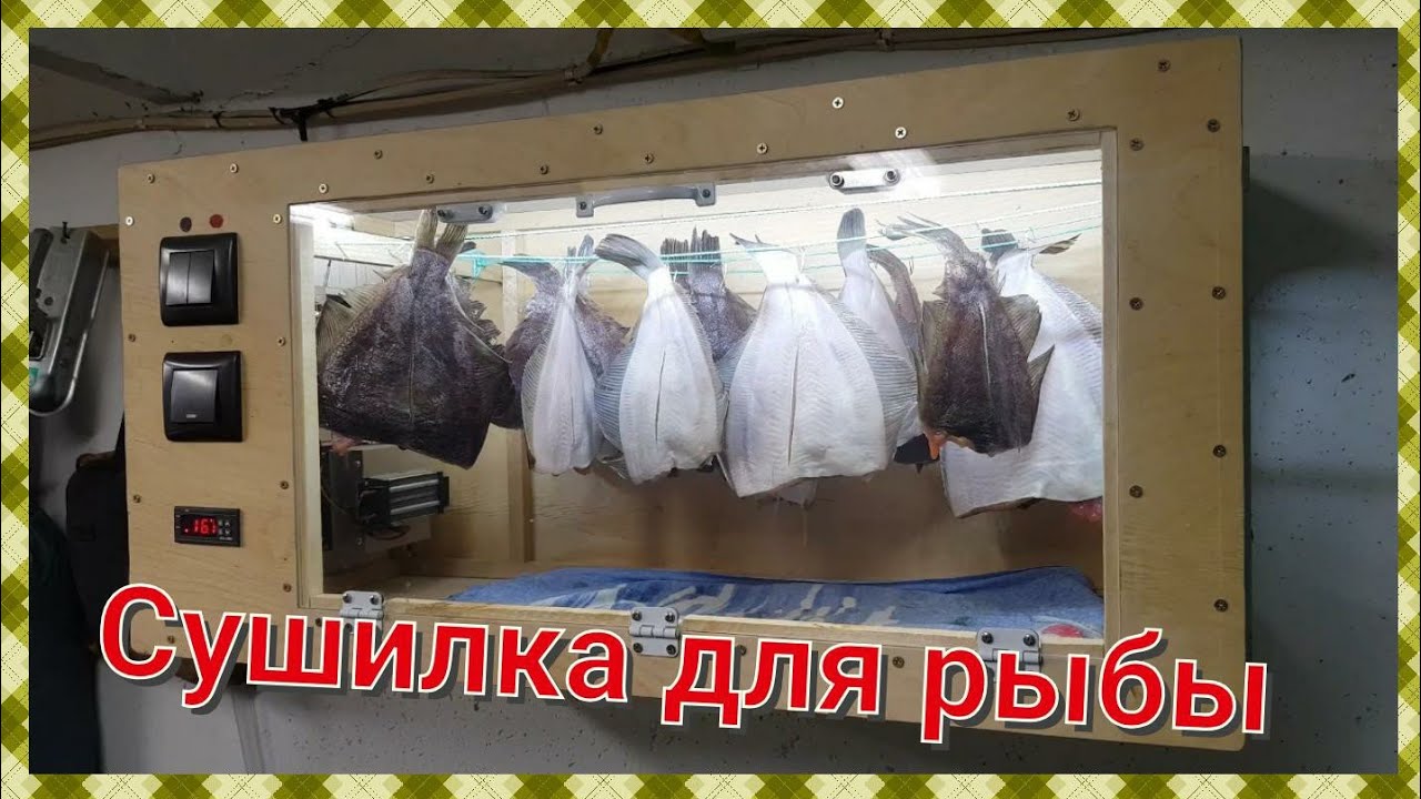 Сушилка для рыбы, овощей и грибов своими руками. Автоматическая, с регулировкой температуры.