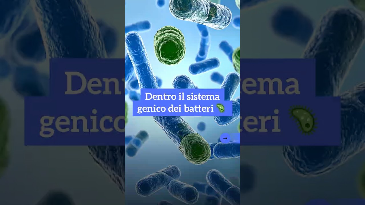 ￼Dentro il sistema genico dei batteri 🦠 ￼