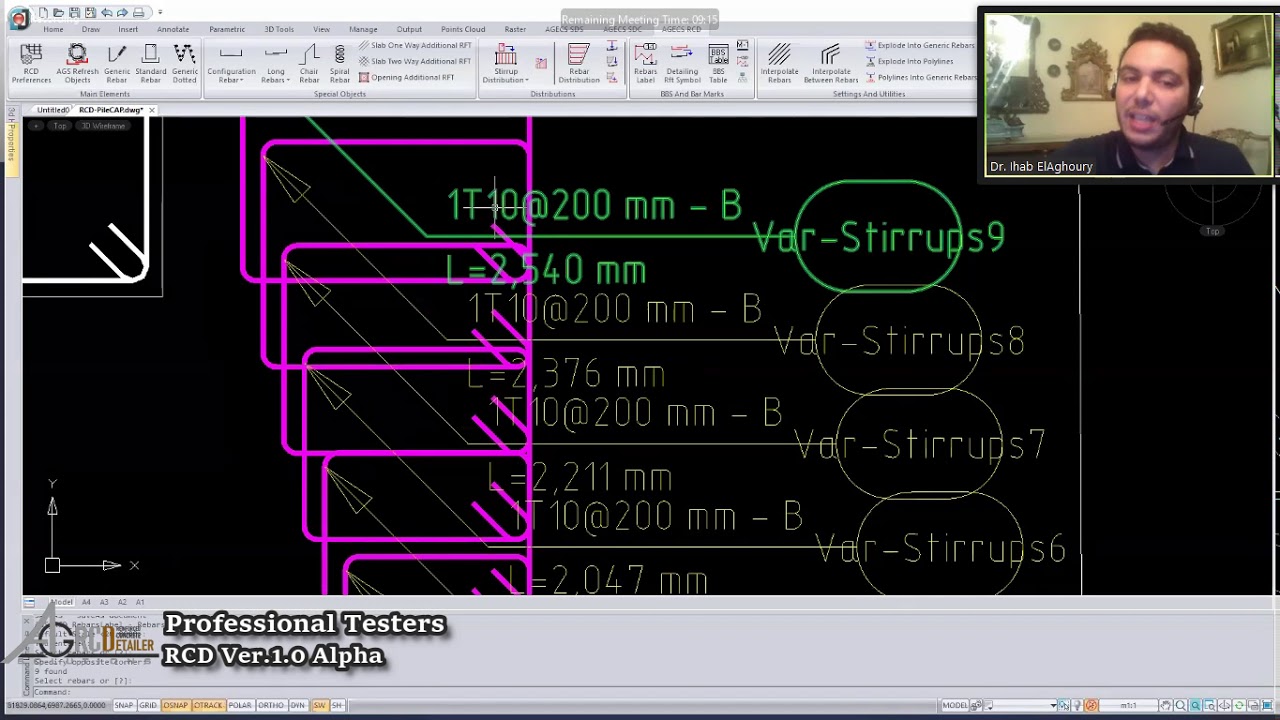02-Professional Testers-RCD Ver.1.0 Alpha-Main Webinar