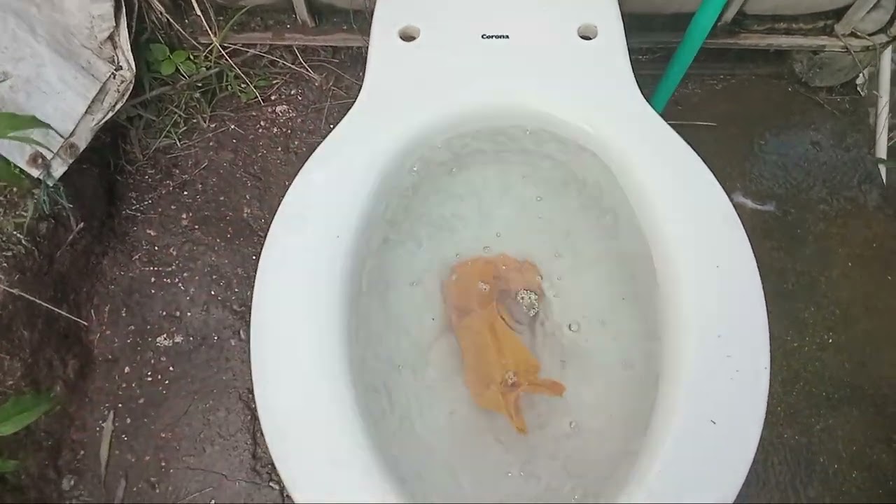 A 1998 Corona toilet  Acuacer model.