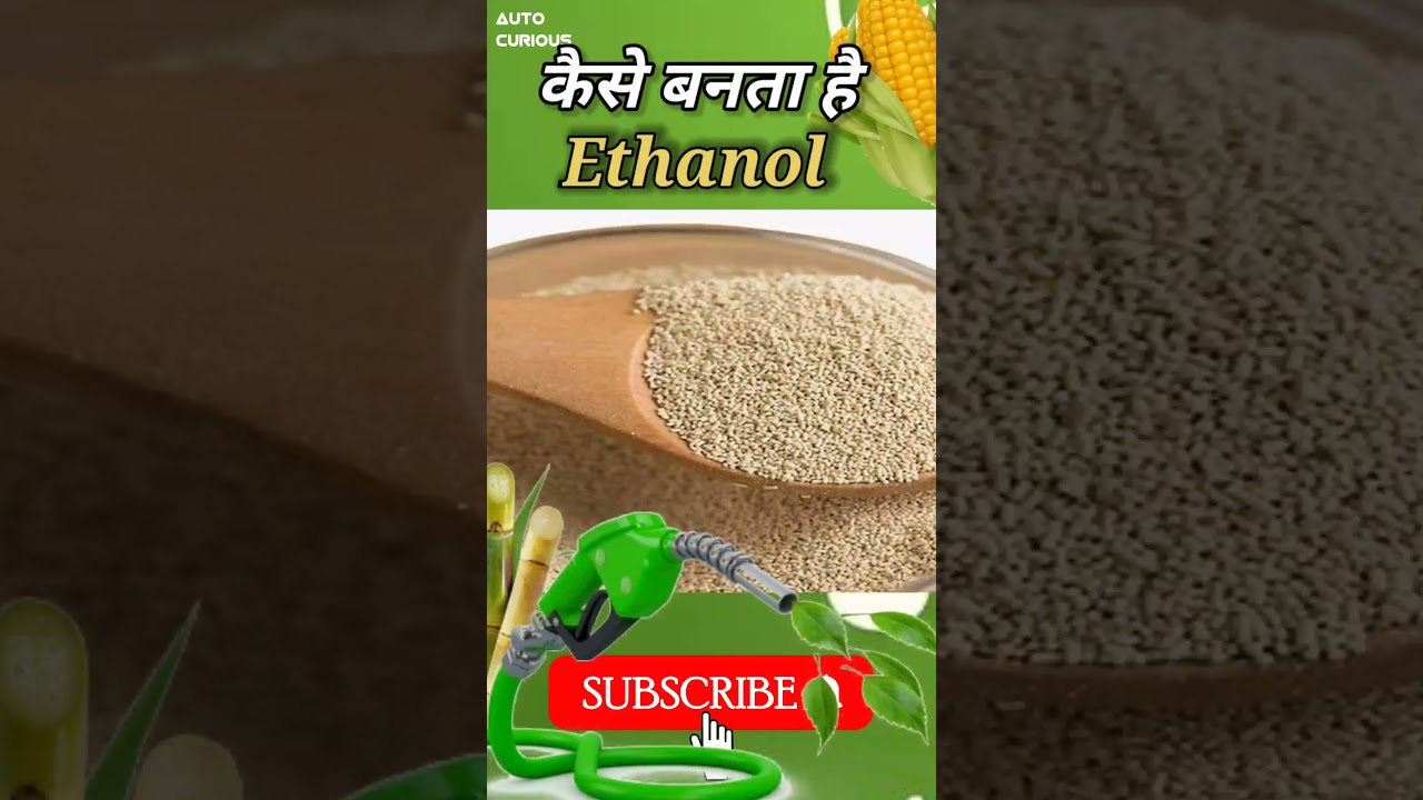 How Ethanol Is Made ? | Biofuel | Flex Fuel | Flex engine #flexfuel