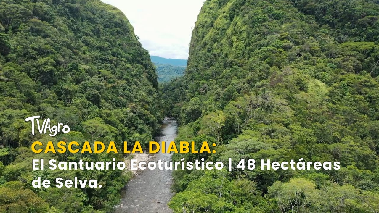 Cascada La Diabla: El Santuario Ecoturístico | 48 Hectáreas de Selva - TvAgro por Juan Gonzalo Angel