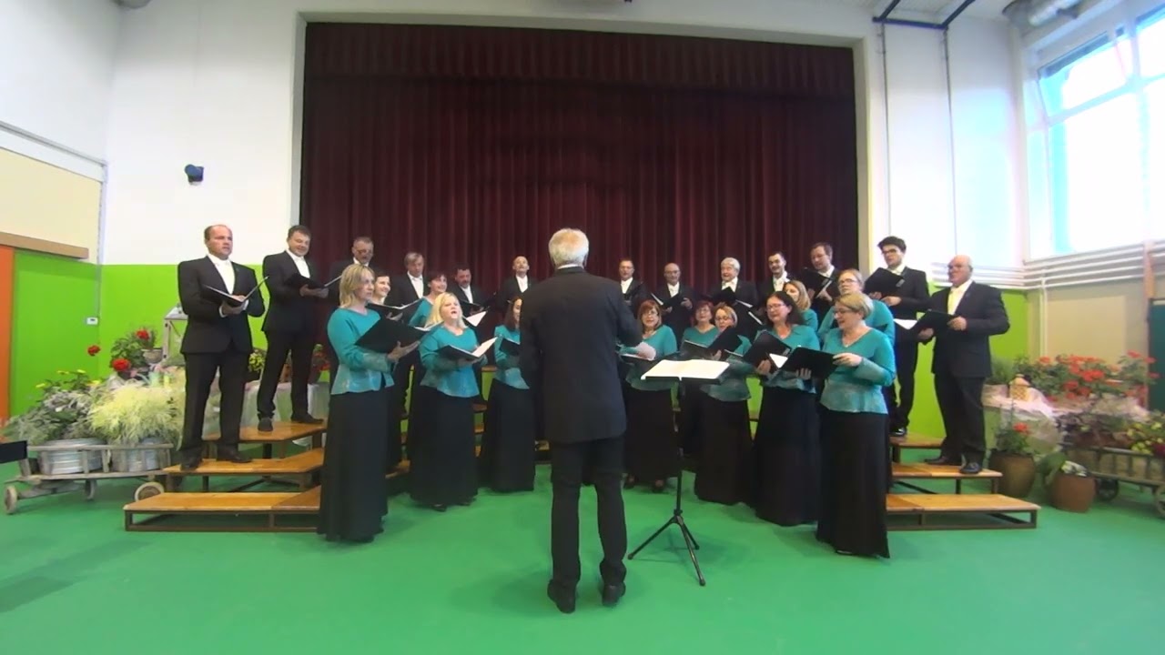 TANZLIED - PLESNA PESEM (slovensko besedilo Jakob Barbo), Heinrich Poos
