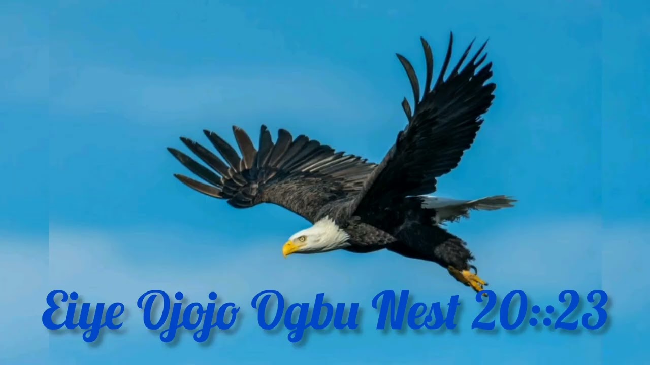 Eiye Ojojo Ogbu Nest 20::23