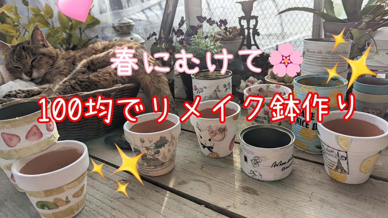 〈多肉〉春にむけて🌸✨１００均でリメイク鉢作り💖セリアにめちゃ可愛いペーパーナプキンありました!😳💖