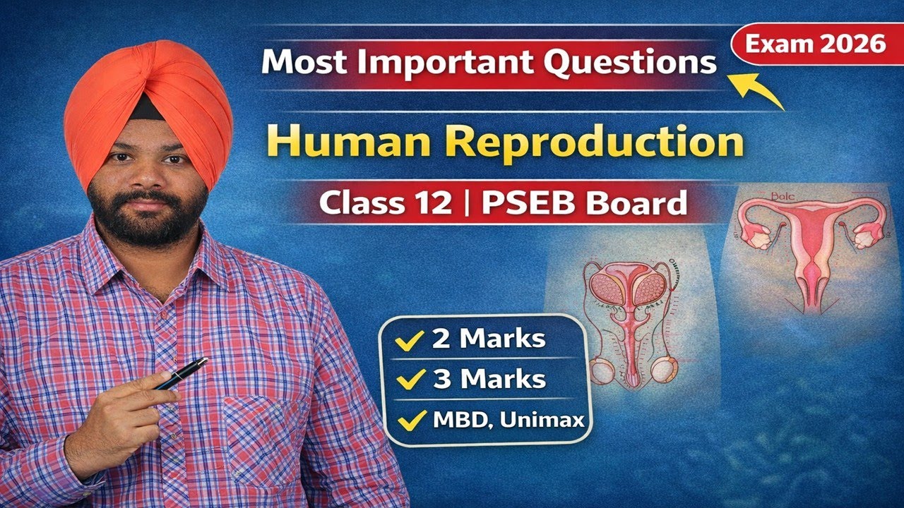 Exam 2026 🔥 Human Reproduction Important Questions | Class 12 PSEB Biology