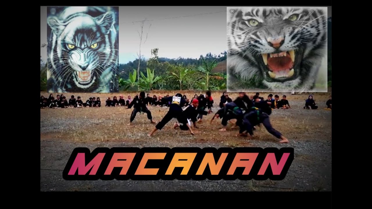 Tenaga dalam pscp cabang banjarnegara