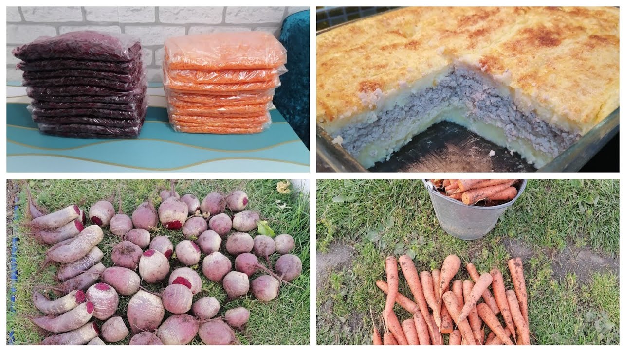 Урожай моркови и свеклы. Картофельная запеканка. Солёное сало с чесночком. 
