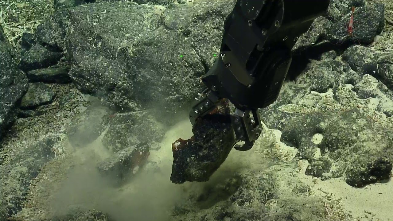ROV Hercules Dive NA114-H1785-20190902T1831UTC-50