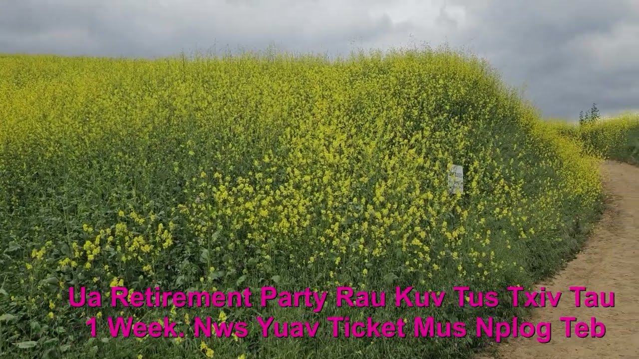 Ua retirement Party tag tau 1 wee. Kuv tus txiv  khiav mus Nplog teb  EP101