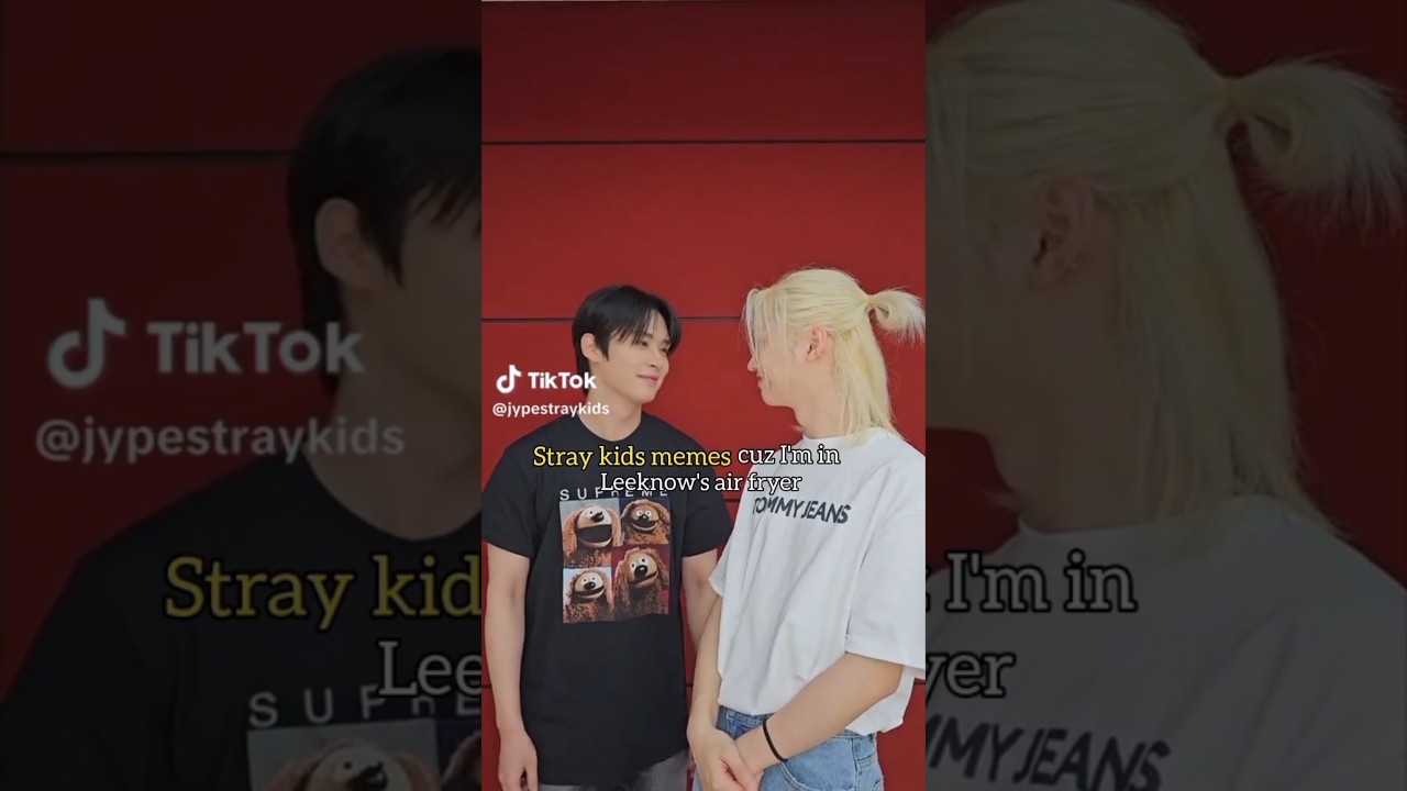 #skz memes cuz I'm in leeknow's air fryer 😭🥲✨(because of the last video)😭||#kpop #skz #memes #stay