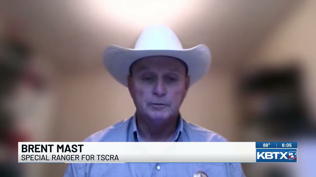Brazos Valley authorities addressing increase in cattle theft reports