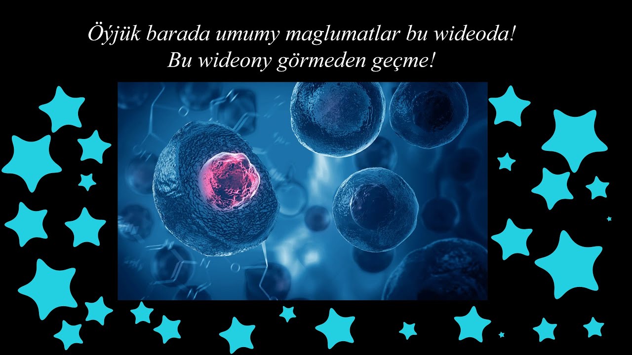Öýjük we onuň gurluşy.Öýjük organoidlary.(Öýjük baradaky köp maglumatlar bu wideoda)
